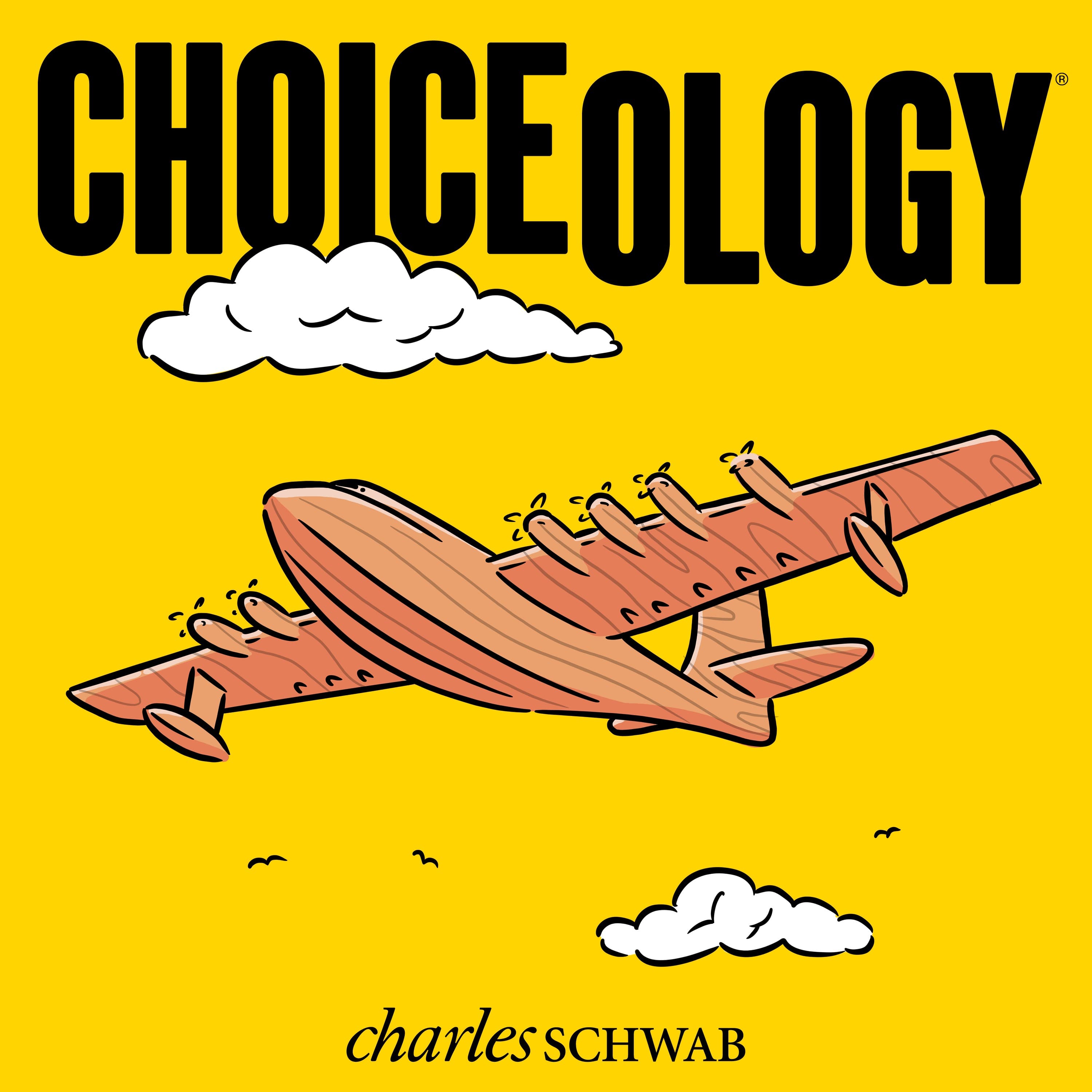 Podcast cover: When Sunk Costs Take Flight