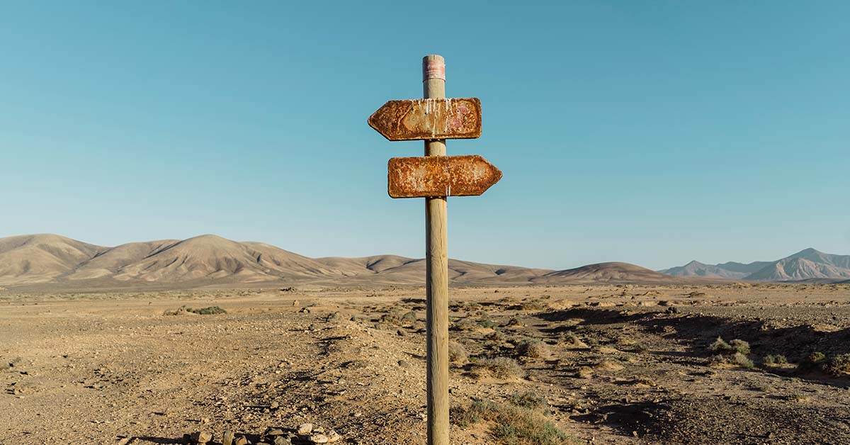 Desert Song: Relying on Alt Data for Economic Pulse