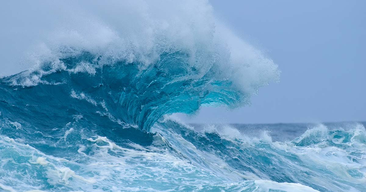 Fixed Income Market: Anchor in a Stormy Sea