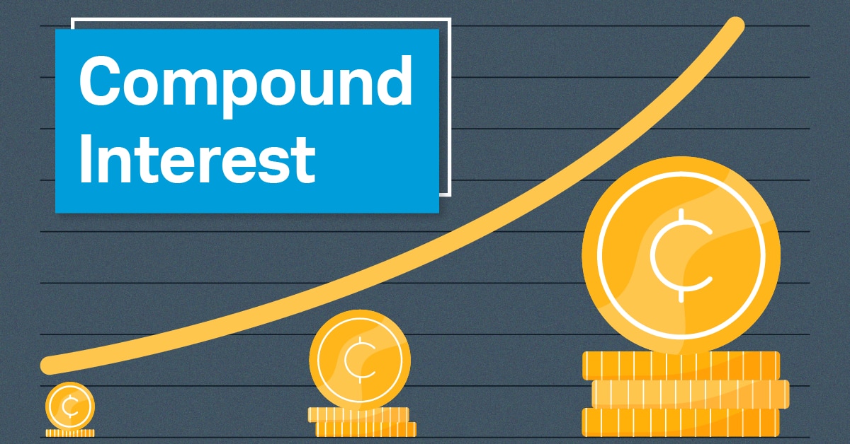 Compound internet shop
