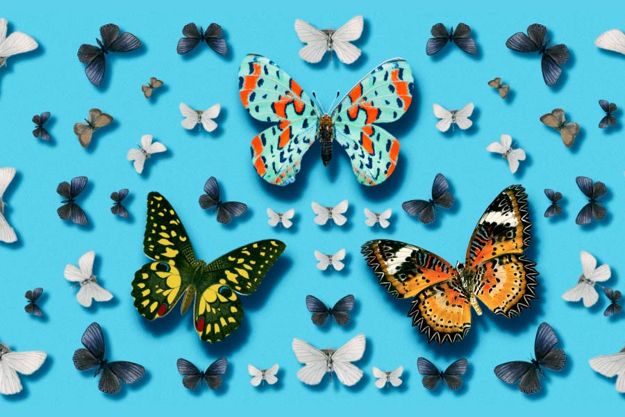 3 Nontraditional Etfs To Consider Charles Schwab