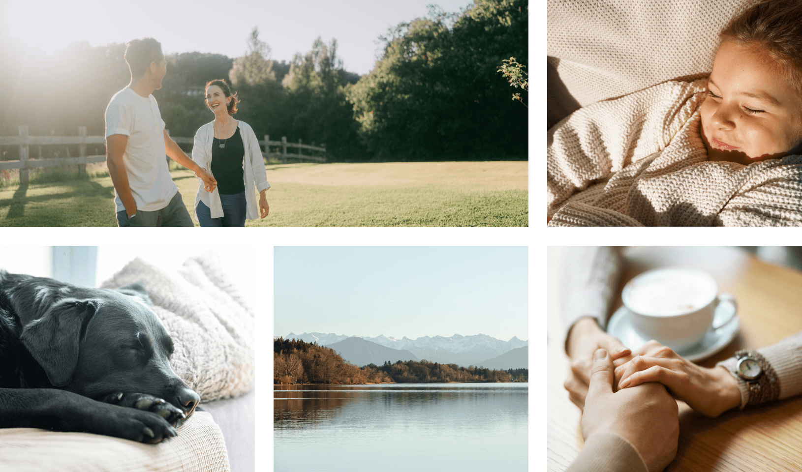 Collage of family and lifestyle moments: a couple holding hands in a field, someone holding a child, a sleeping dog, a lakeside view, holding hands over coffee. 